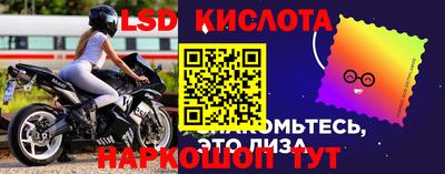кокс Гусев