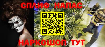 молекула духа Волжский